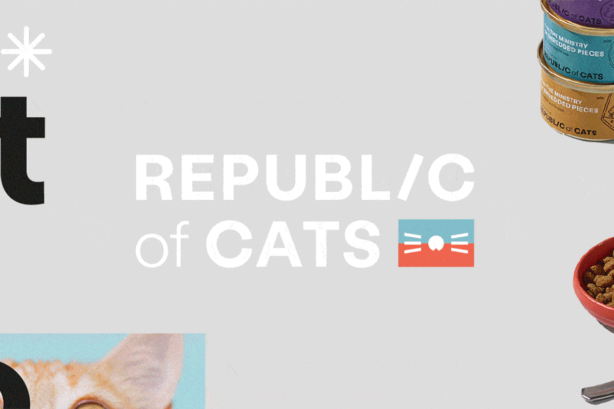Republic of Cats Brand